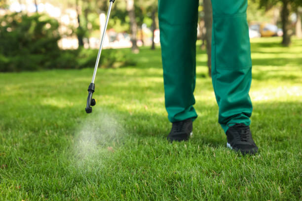 Best Pest Prevention Services  in West Loch Estate, HI
