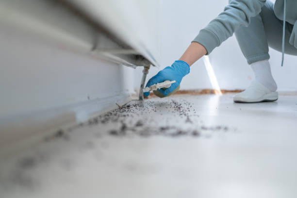 Best Wildlife Control Services  in West Loch Estate, HI