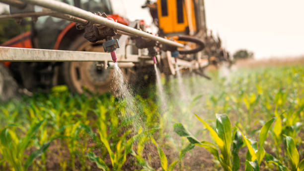 Best Mosquito Control Services  in West Loch Estate, HI