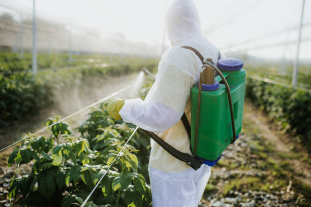 Best Emergency Pest Control  in West Loch Estate, HI